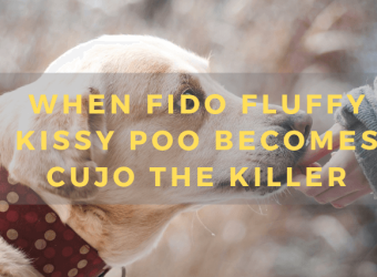 When Fido Fluffy Kissy Poo Becomes Cujo the Killer