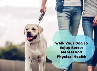 How to Unleash Better Health By Walking Your Dog